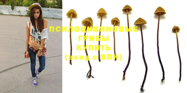 MESCALINE Алзамай