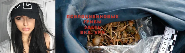 PSILOCYBIN Абинск