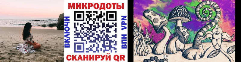 цена   Новотитаровская  Псилоцибиновые грибы Magic Shrooms 